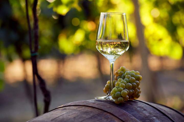 Nos vins Blancs Calvi